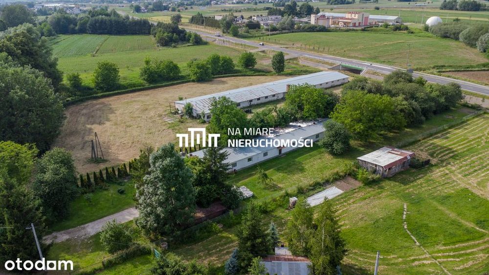 Hala + Biuro, Duża działka, Teren ogrodzony