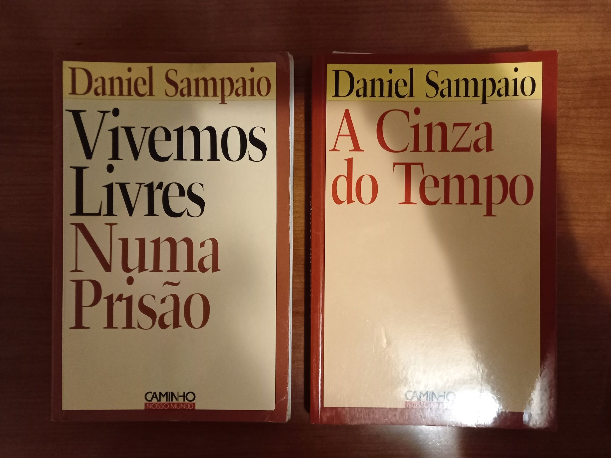 2 livros Daniel Sampaio