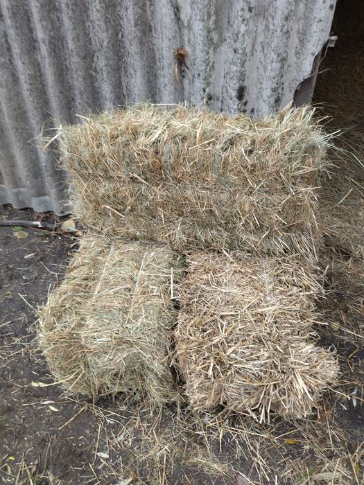 Продам тюки сіна і соломи за детальною інформацією звертайтесь за номе