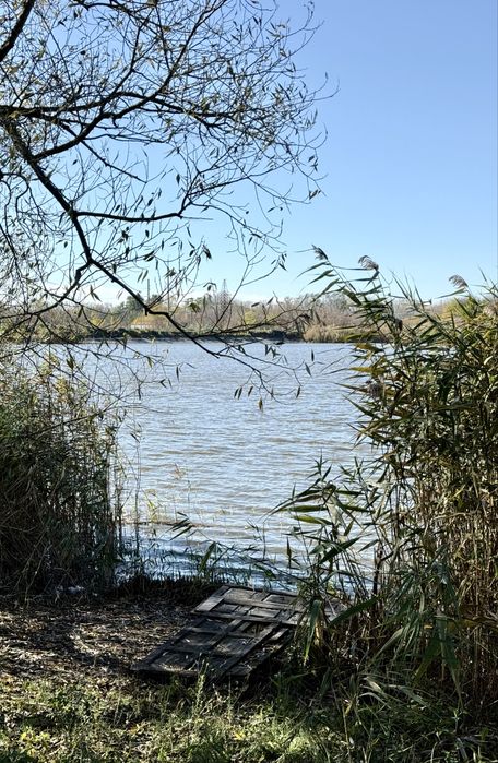 Будинок на березі р.Сухий Кагамлик с.Погреби