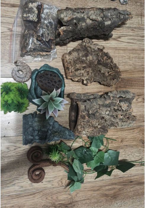 Akcesoria do terrarium