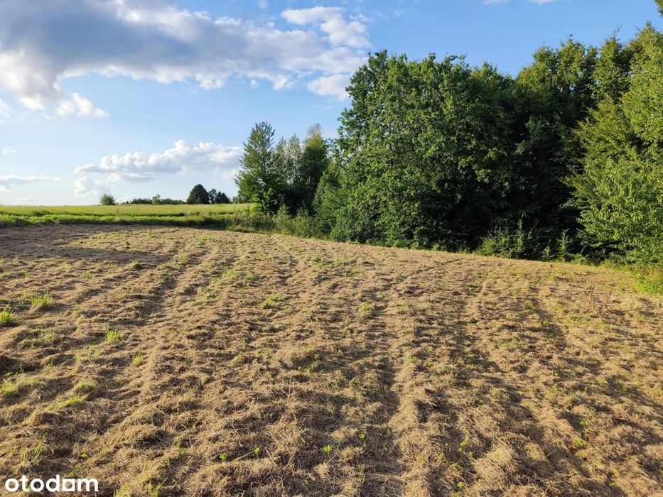 Brzezówka działka budowlana na sprzedaż WZ