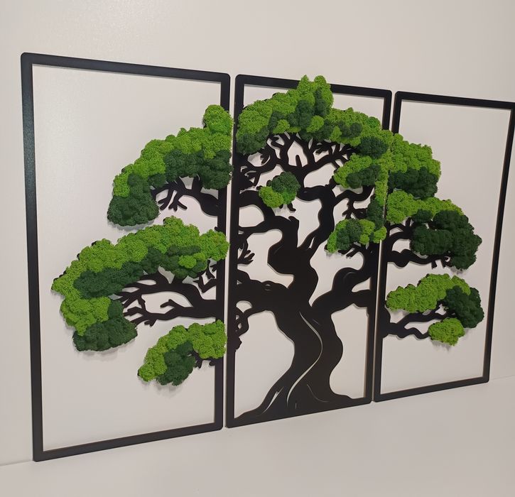 Obraz Tryptyk z mchem Chrobotkiem 60/90cm
