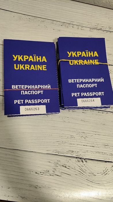 Продам паспорт переноски рулоны бымаги