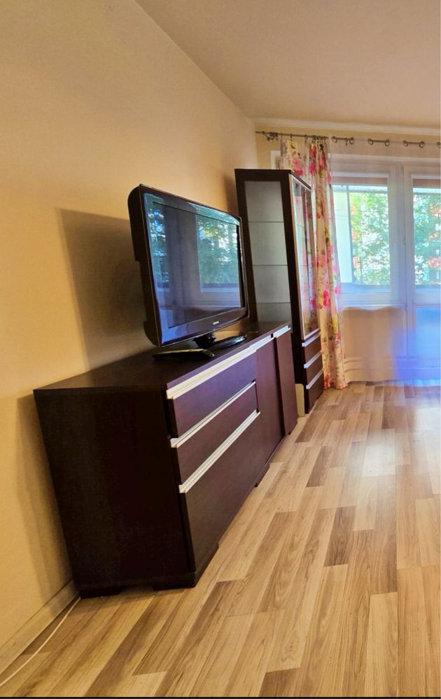 Mebloscianka do salonu