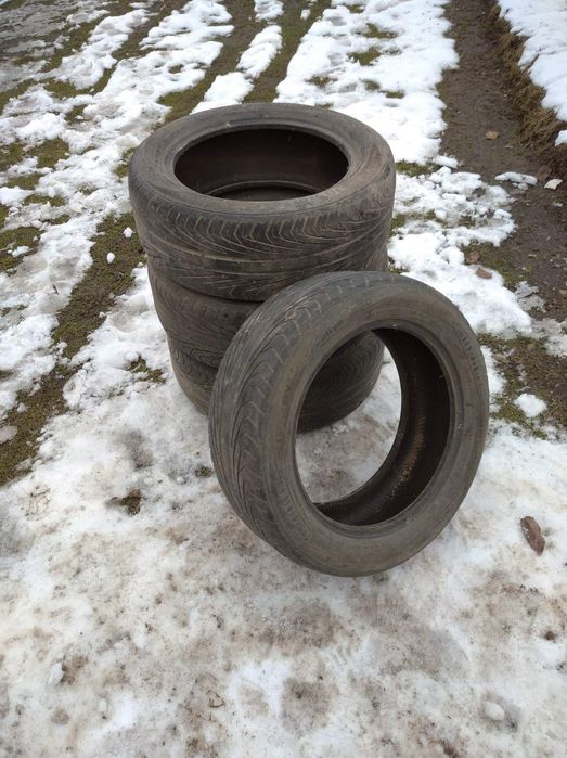 Ризина 205/55R16 V