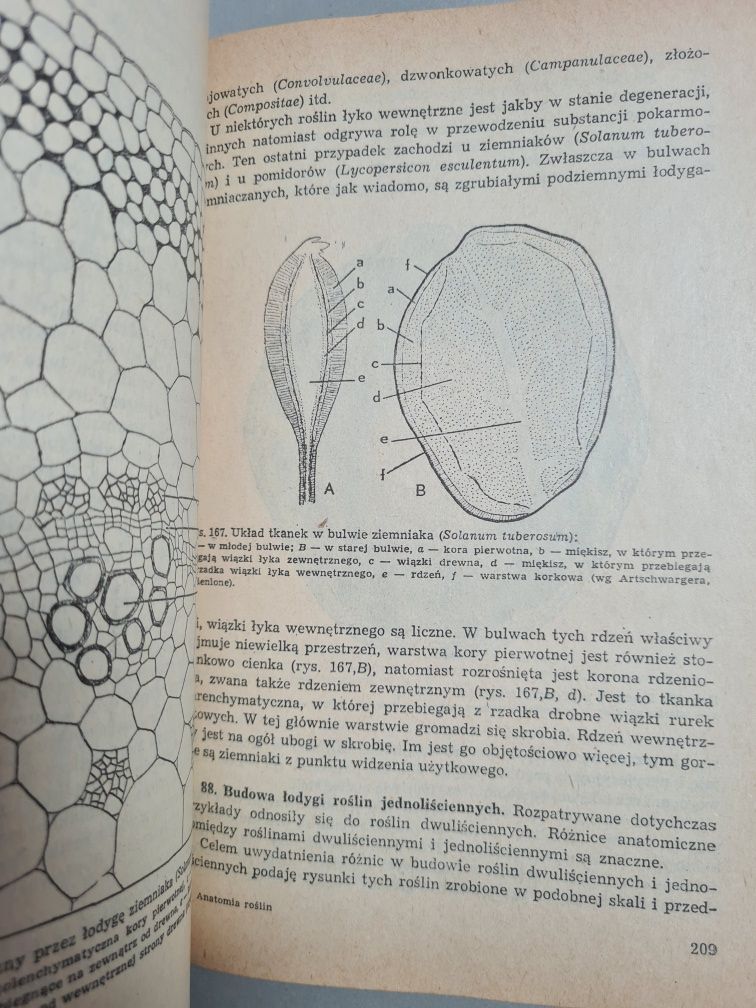 Anatomia roślin - Edmund Malinowski