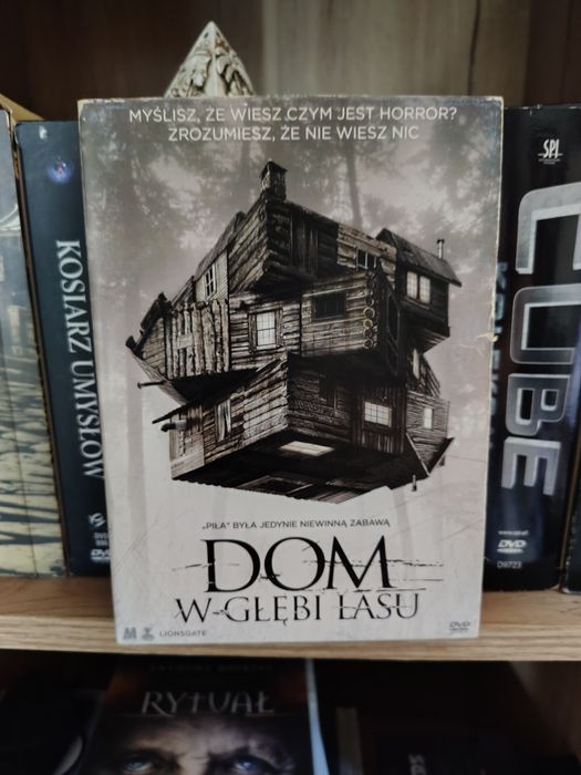 Dom w głębi lasu