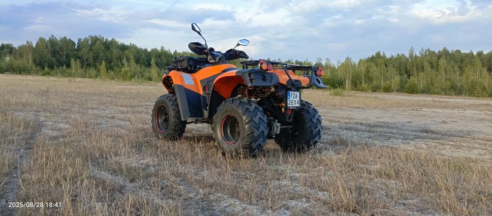 Linhai 300 4x4 2019r