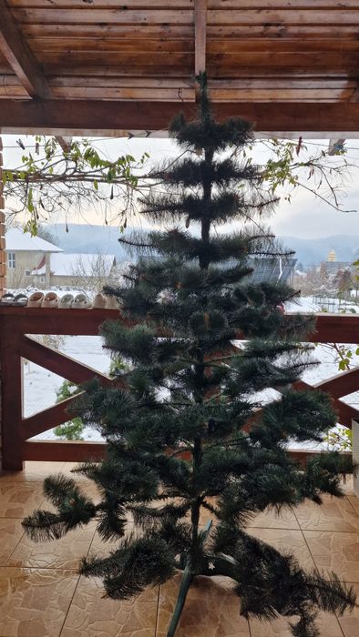 Сосна Штучна "Білі кінчики" 2 м.