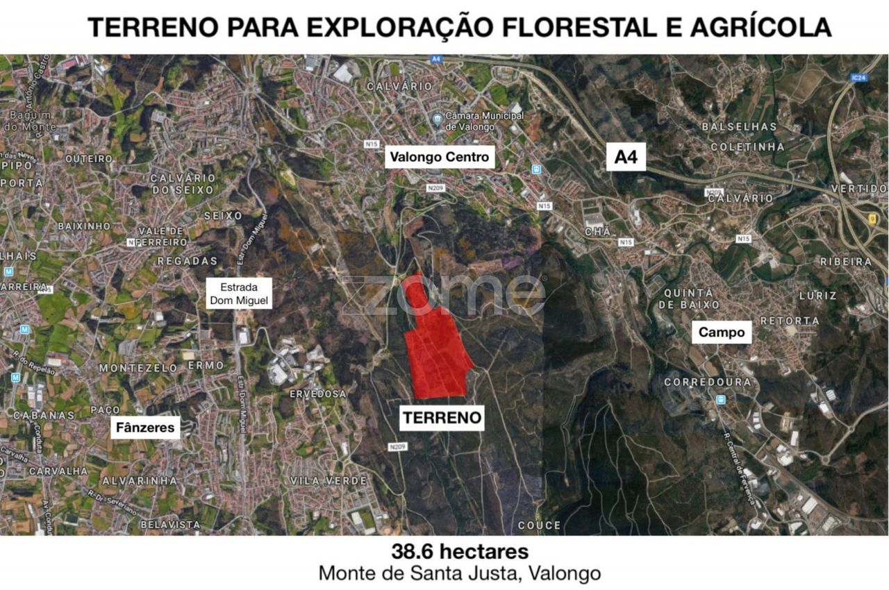 Terreno para exploração florestal e agrícola - Santa Justa, Valongo