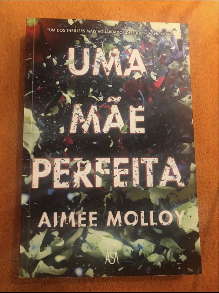 Uma mãe perfeita