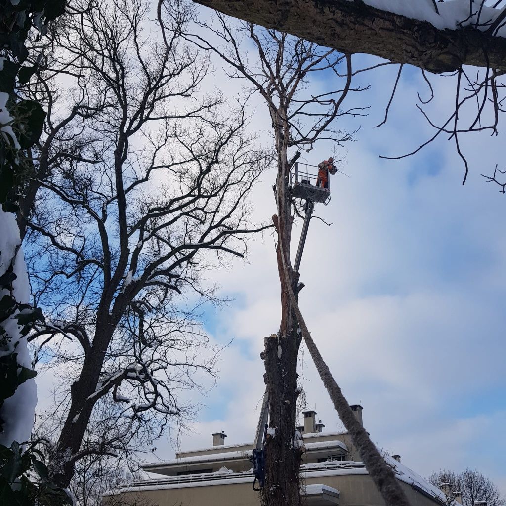 Koszenie,Odsnieżanie Hds 4t.wywóz ziemi,glebogryzarka,wywrotka,koparka