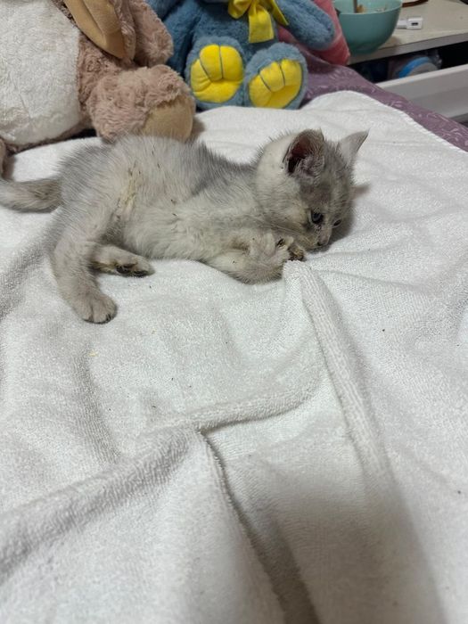 Хлопчик в хороші руки