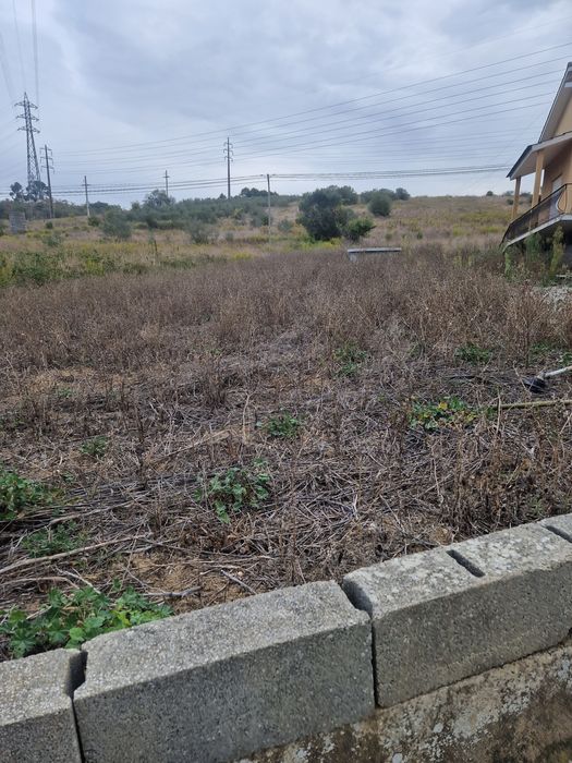 Limpeza de casas e terrenos