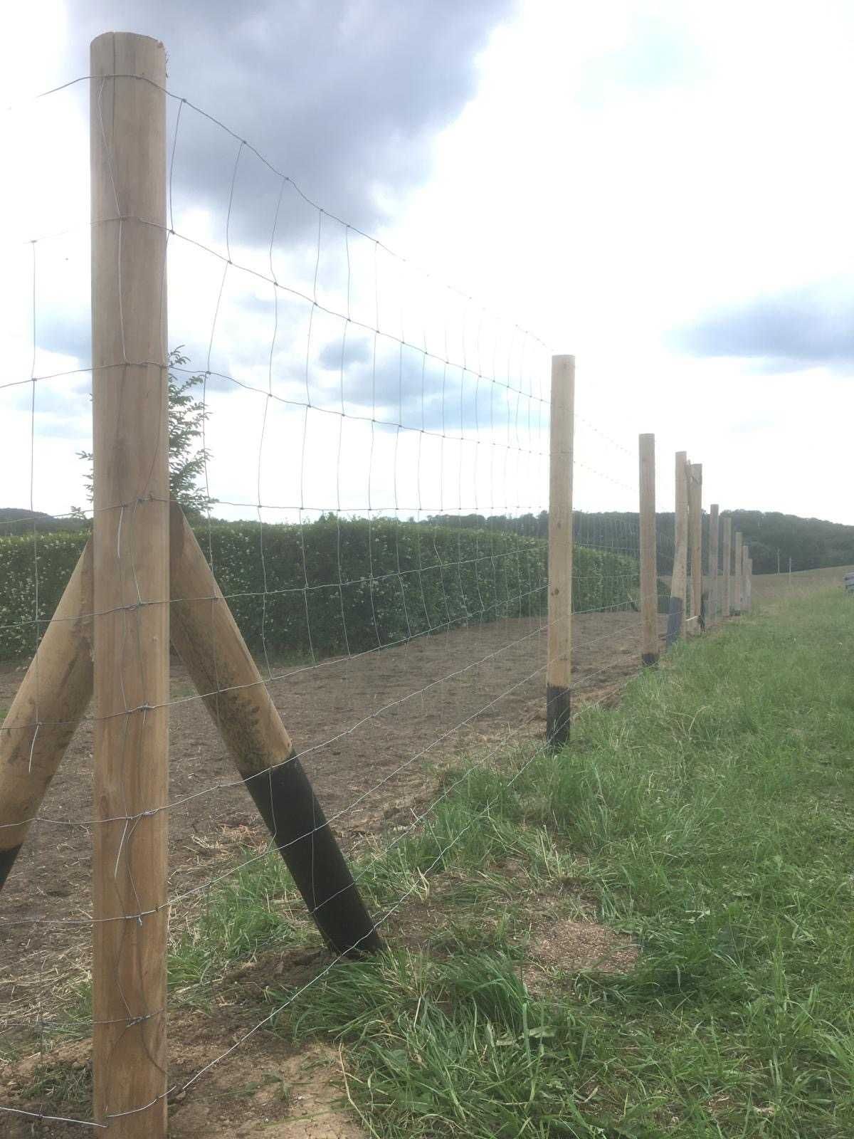 Ogrodzenie budowlane tymczasowe - Siatka leśna