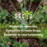 Zakładanie systemów nawadniania, automatyczne nawadnianie ogrodu