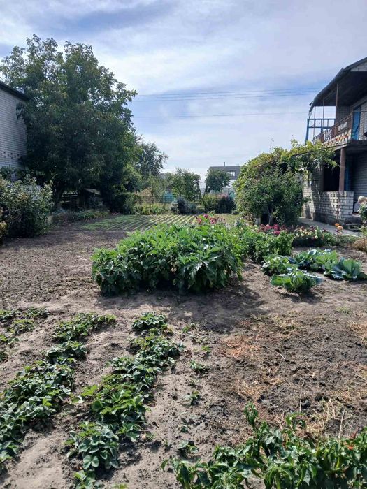 Дача в м. Світловодськ, СТ «Керамік» біля водосховища