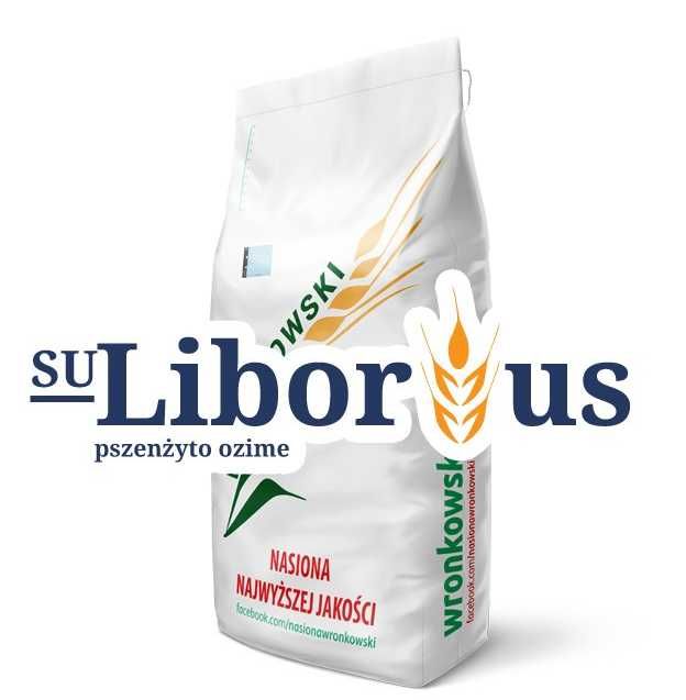 PSZENŻYTO OZIME - kwalifikowany materiał siewny - wysyłka!