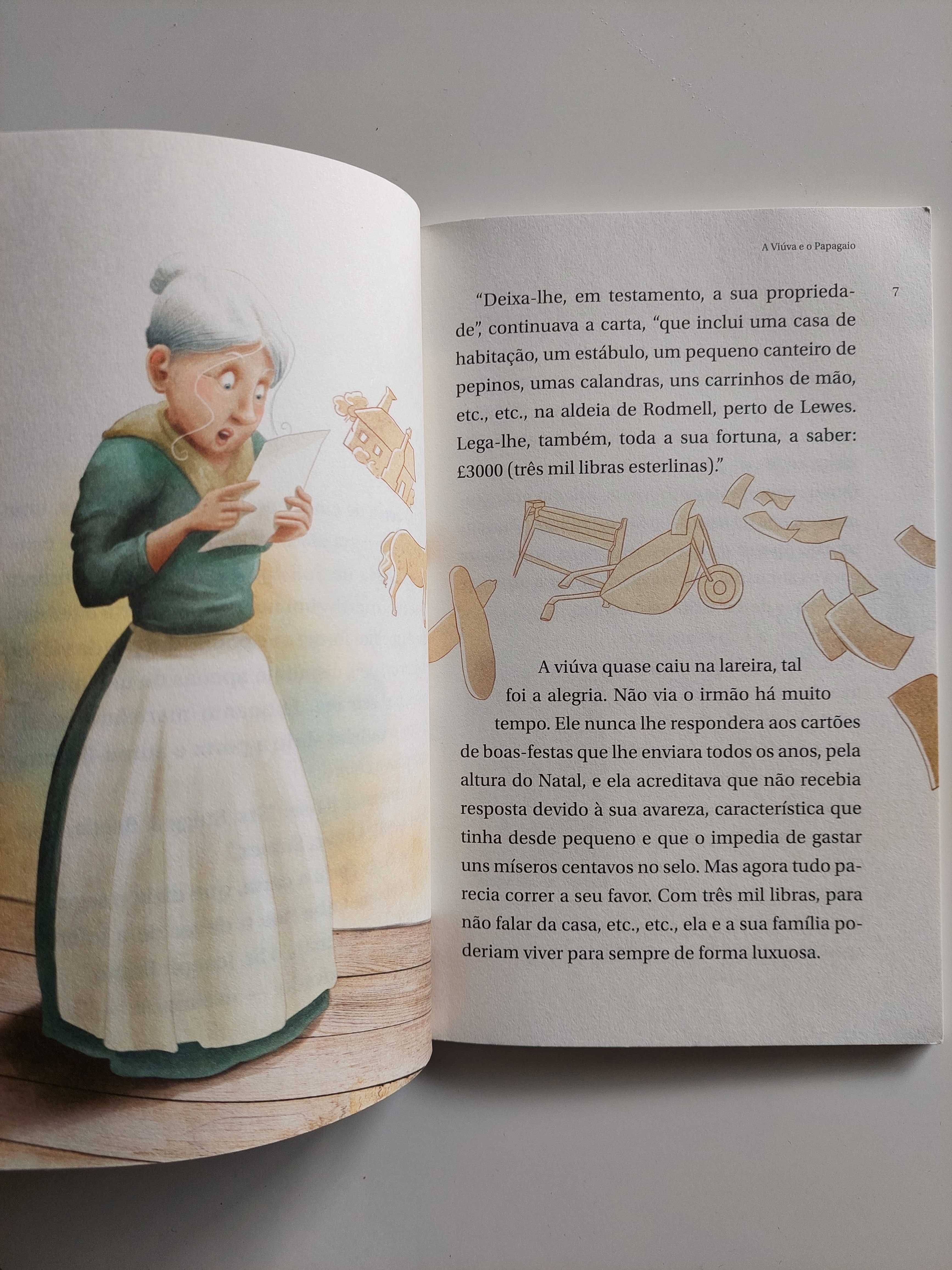 Livro A Viúva e o Pagagaio - Virginia Wolf