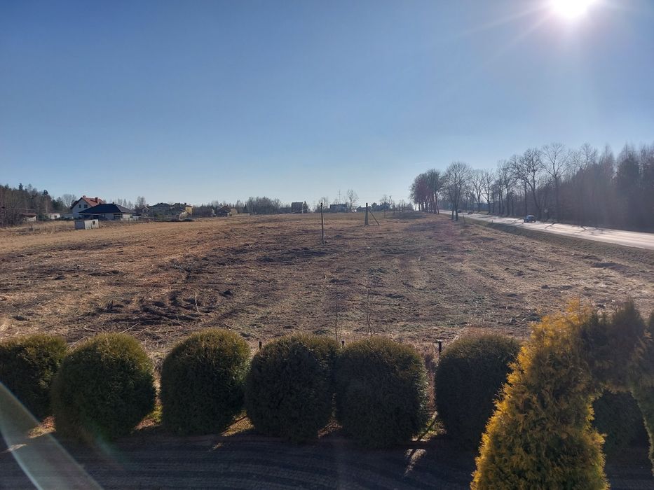 Mulczer leśny oczyszczanie działek wycinka karczowanie