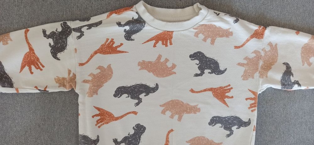 Komplet Bluza + Bluzka Sinsay Motyw Dinozaury Dla Chłopca R. 98/104cm