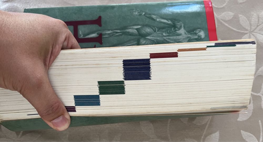 Human Anatomy - Van de Graaff