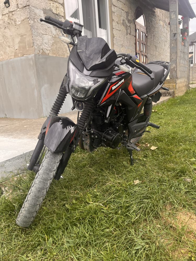 Musstang region mt250