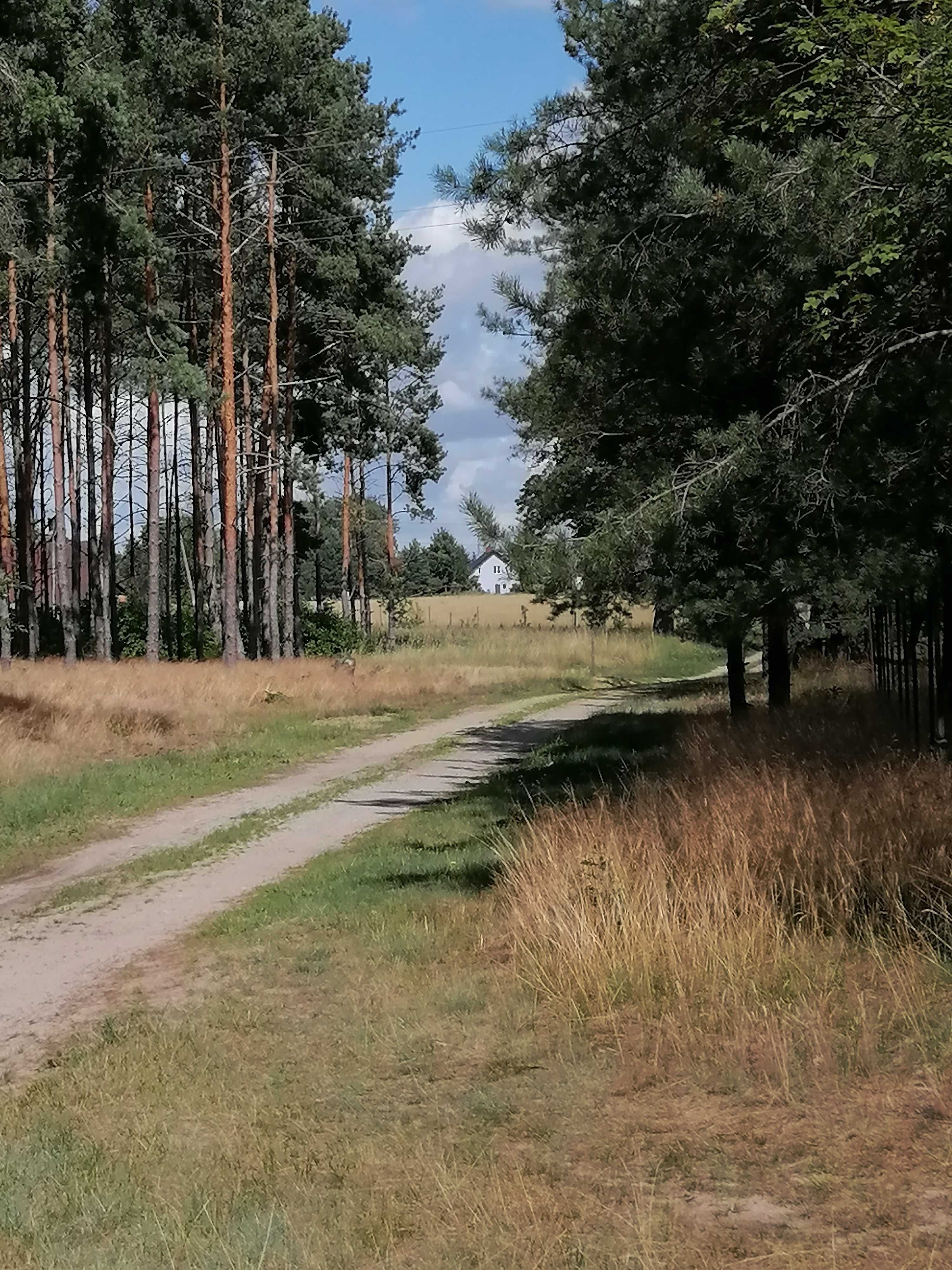 Wolne miejsca na wakacje i nie tylko - dom w Borach Tucholskich