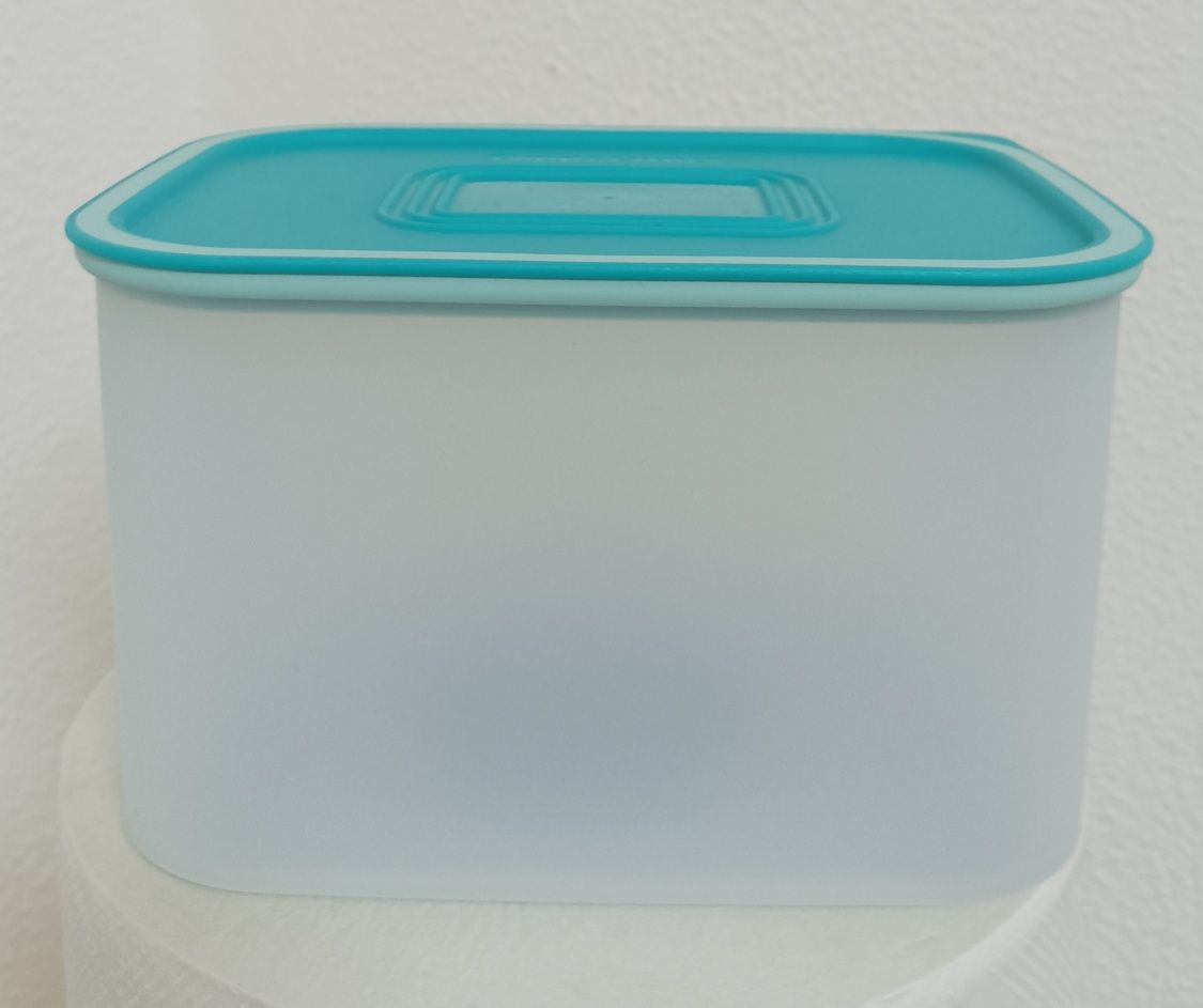 Caixa Tupperware Bifresco Nova