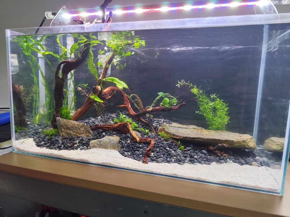 Zestaw akwarium 54L filtr kubełkowy FLUVAL