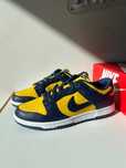 Nike Dunk Low Michigan (2021) 42 / 42.5