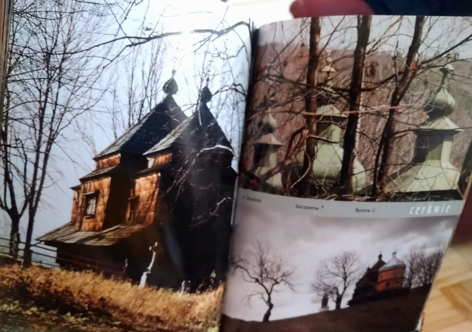 Bieszczady. Eta Zaręba. Piękny mini album