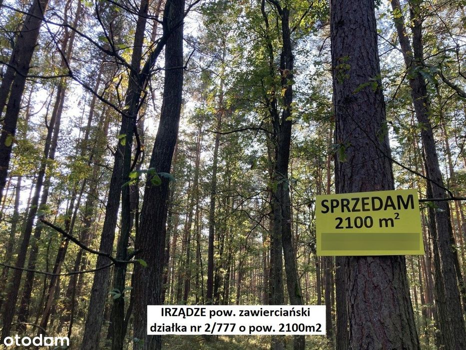 Sale -10% Tania działka leśna na Śląsku 2100m2 (K-ce 70km,Kraków 82km)