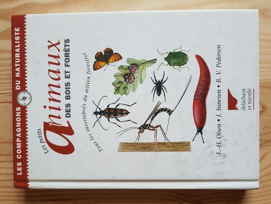 Les Petits Animaux des Bois et Forêts