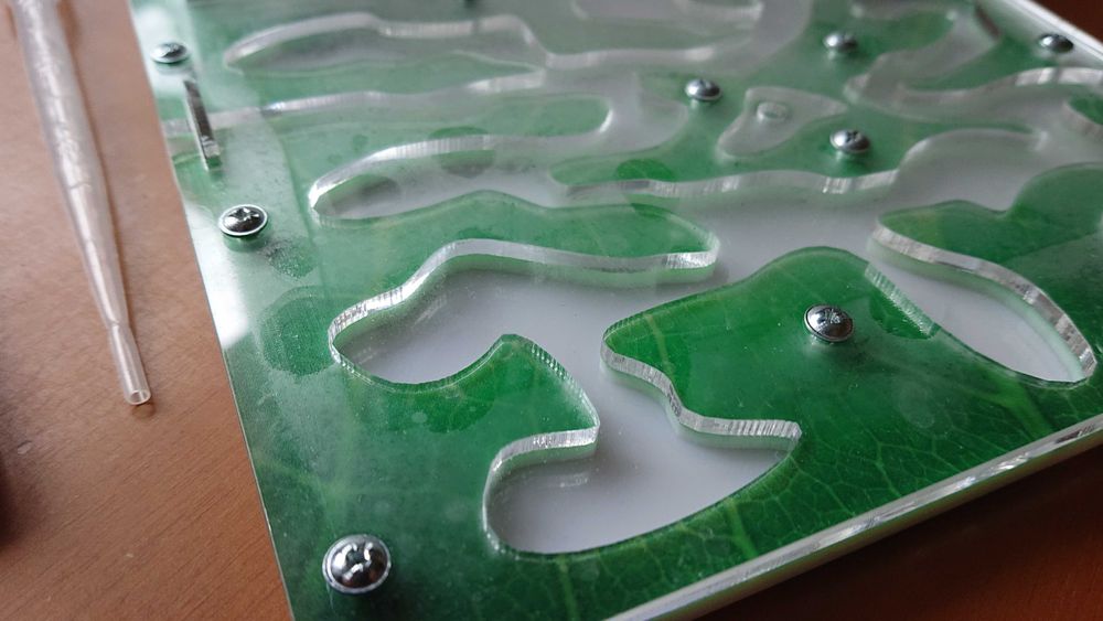 Формікарій Ant City