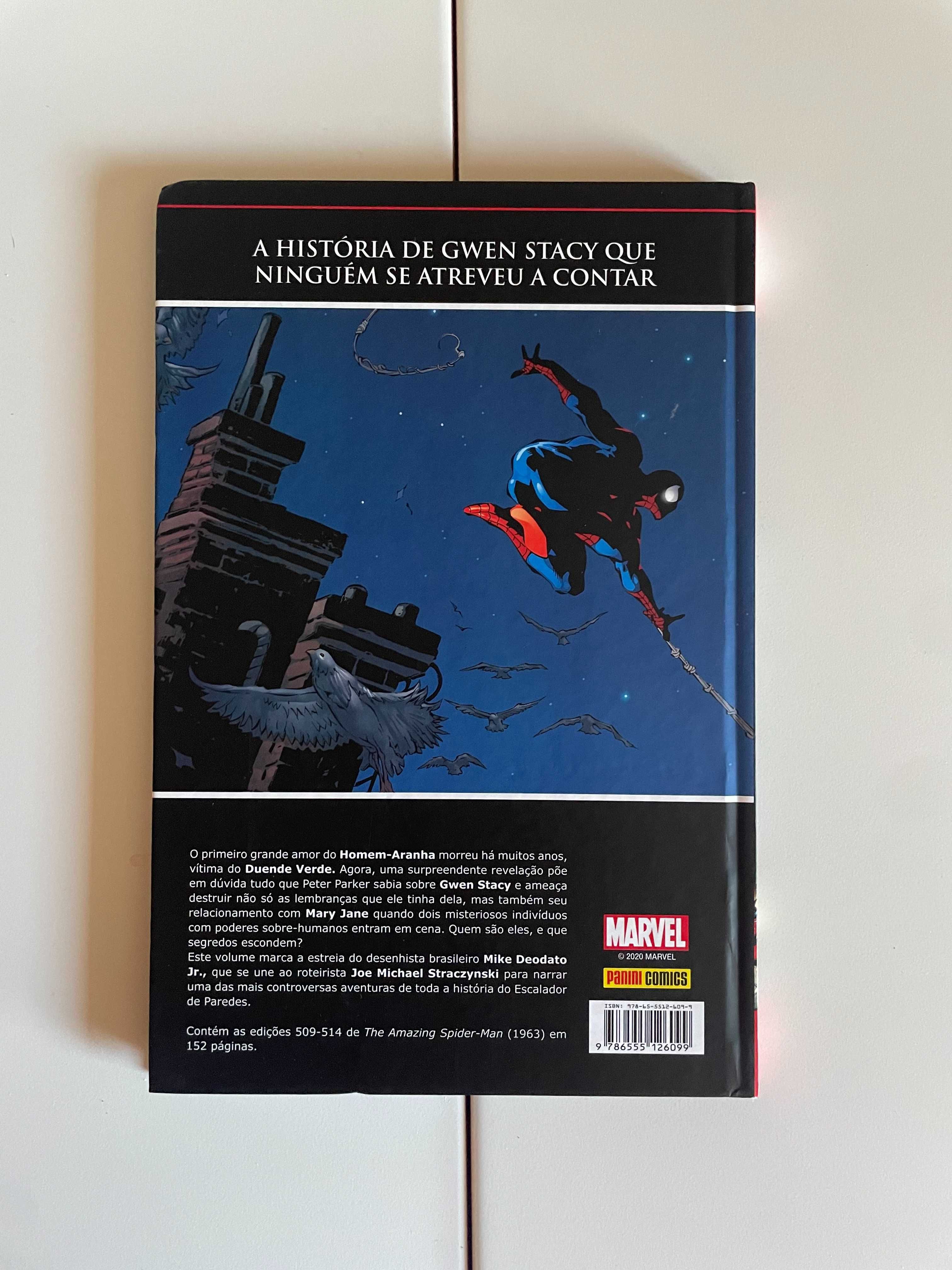 Marvel Saga - O Espetacular Homem-Aranha N.º 6