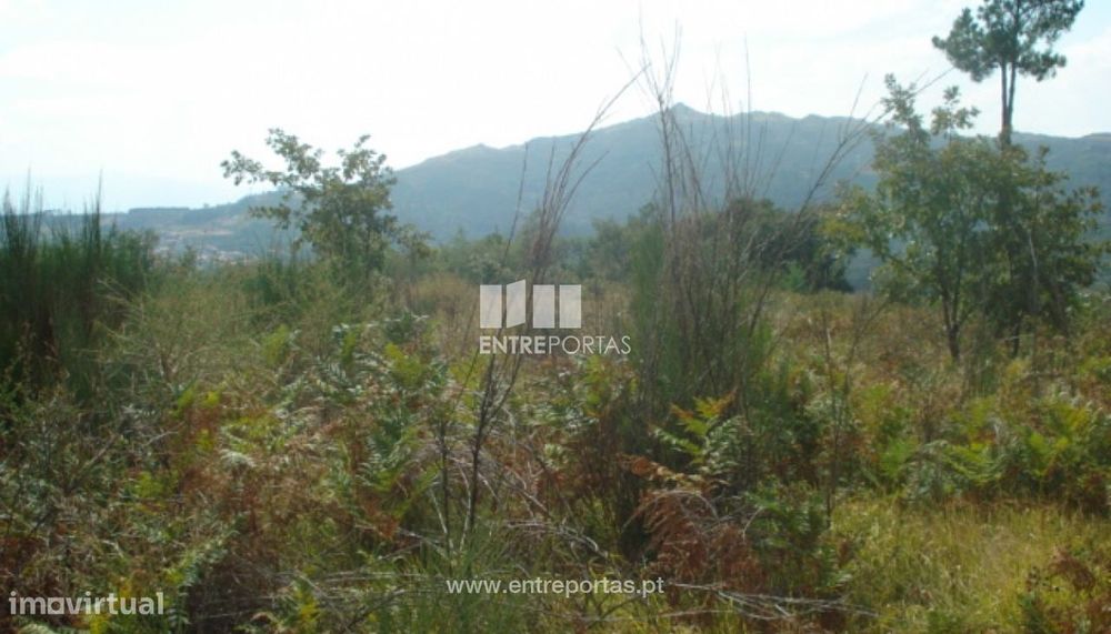 Venda Terreno, Gestaçô, Baião