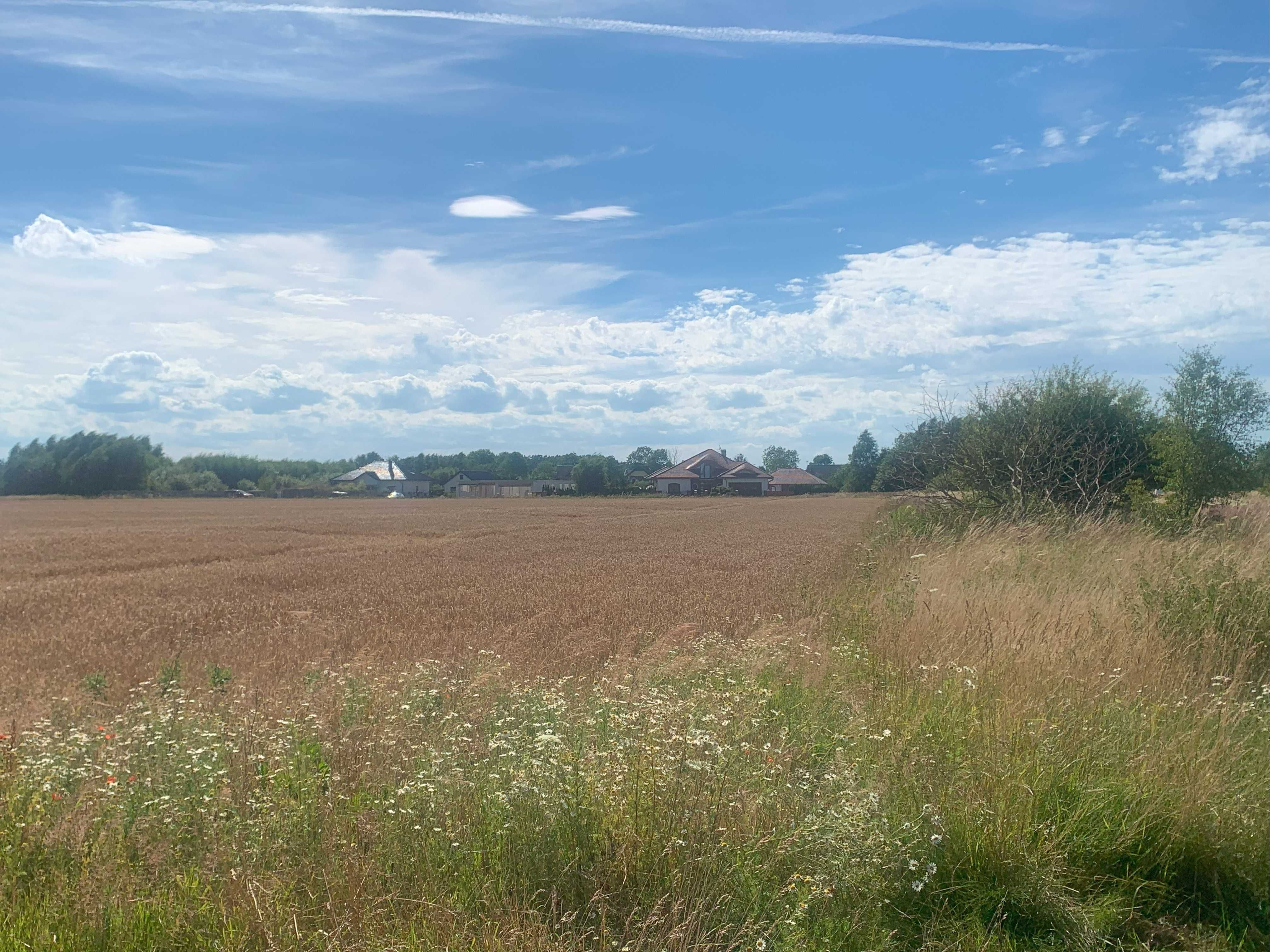 Gryfice, Trzygłowska, Działka rolna - 3842m2