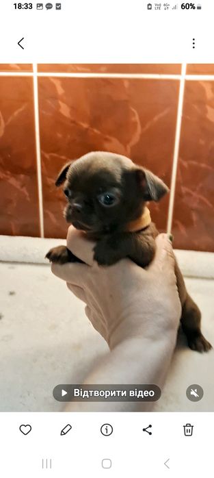 Гарнюня дівчинка.