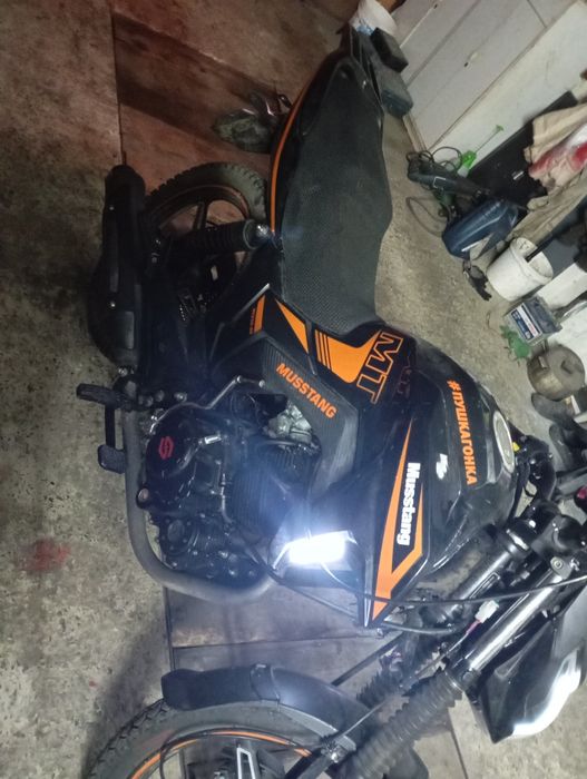 Мустанг мт 250 2024 рік