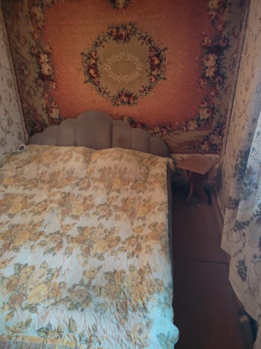 Продам дом в с.Палиево,