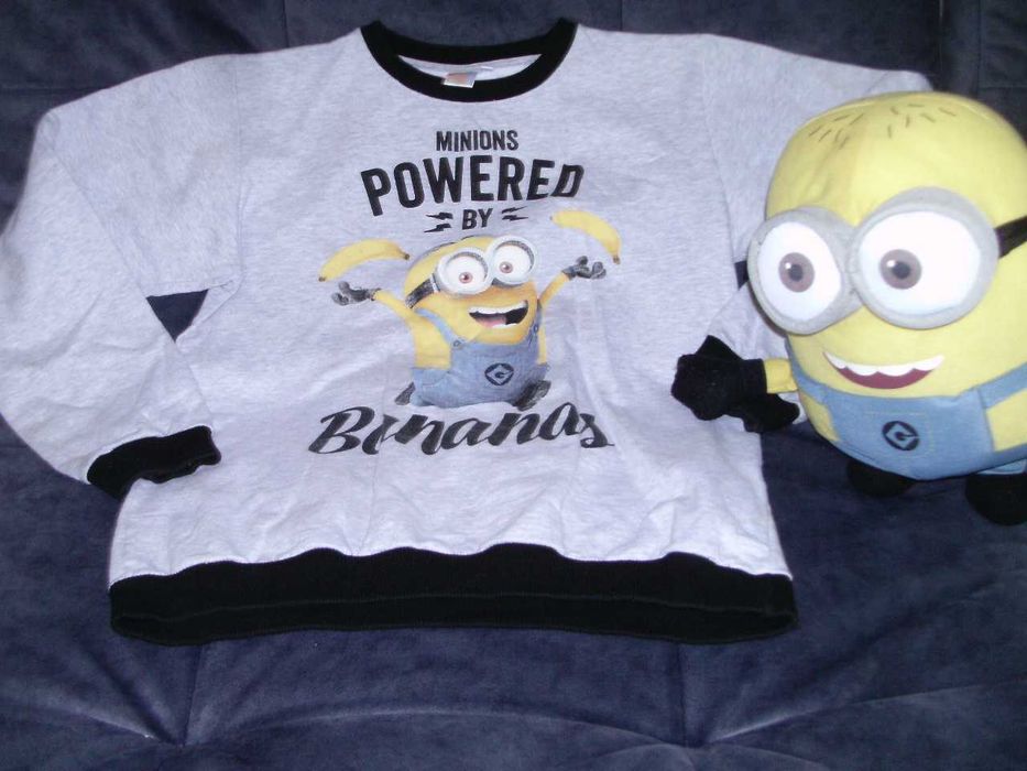 Кофта тепла светр реглан світшот миньйон  DISNEY Minions