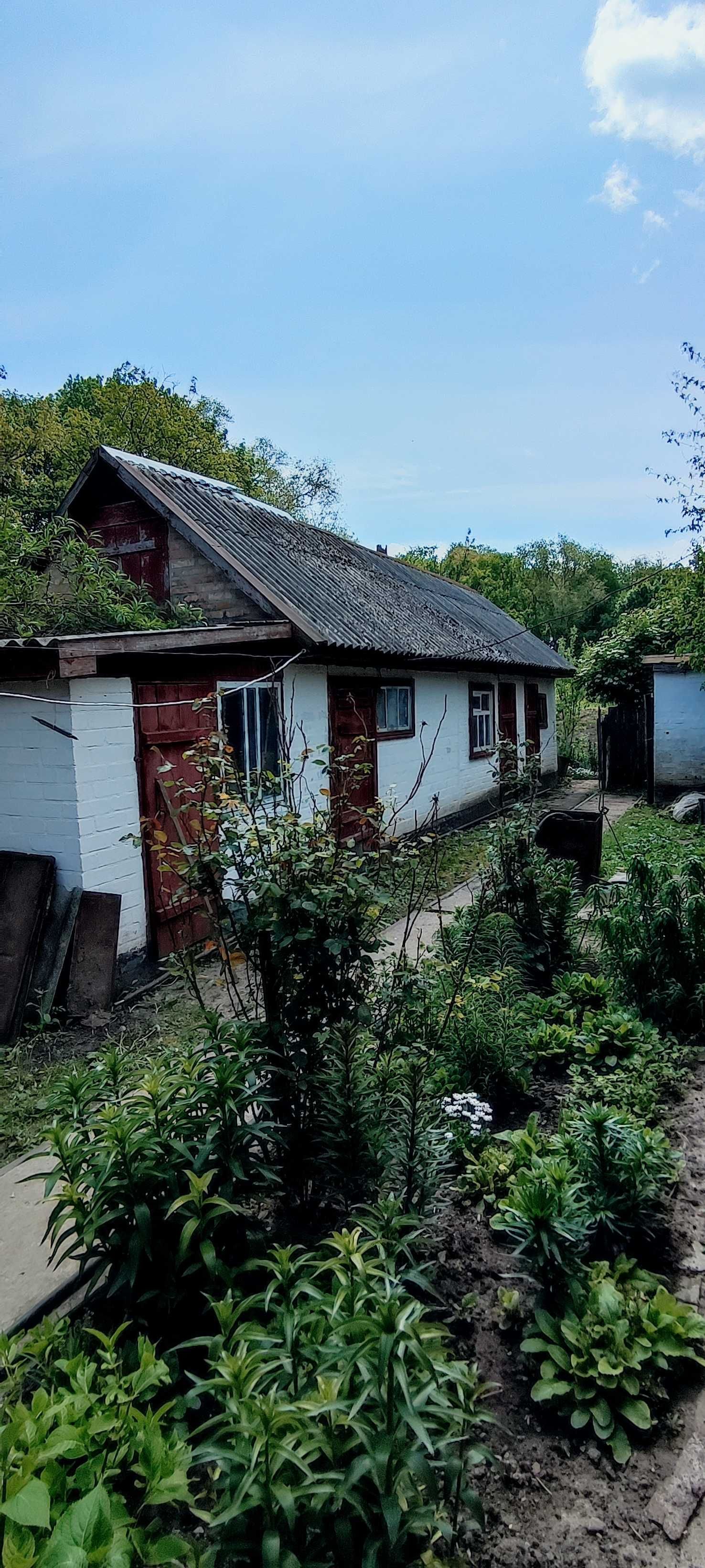 Продається будинок в селі  Дубіївка