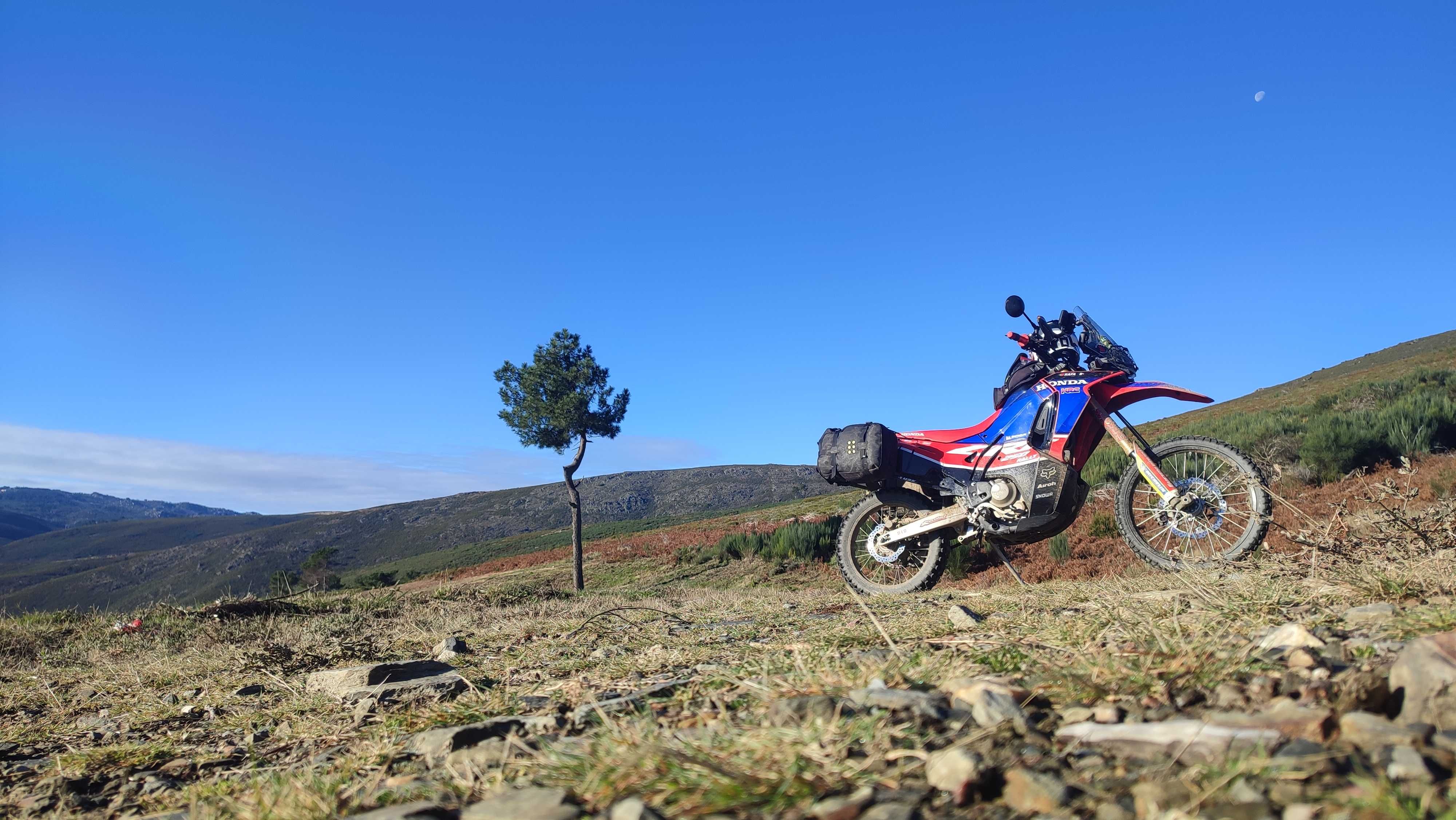 Honda CRF 250 rally