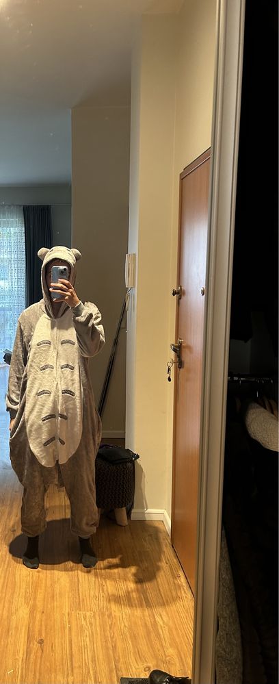 Kigurimi szare Totoro