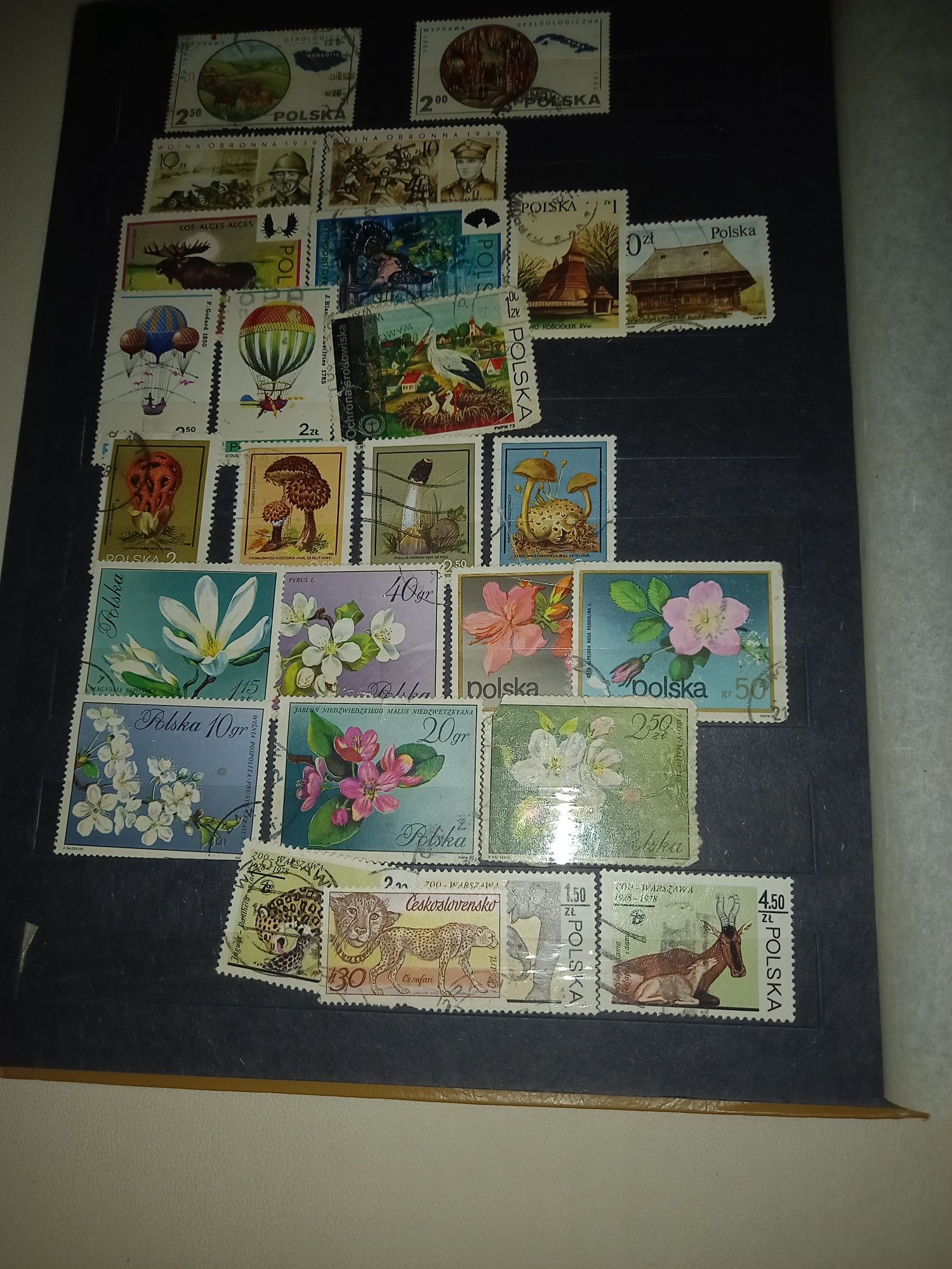 Album ze znaczkami różnych krajów