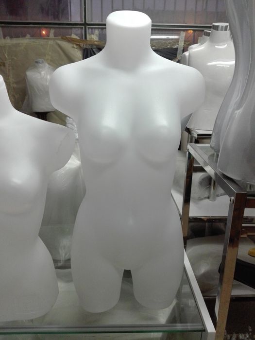 Bustos de Adulto (NOVOS)