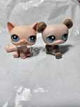 Lps littlest pet shop figurka figurki miś kot kotek