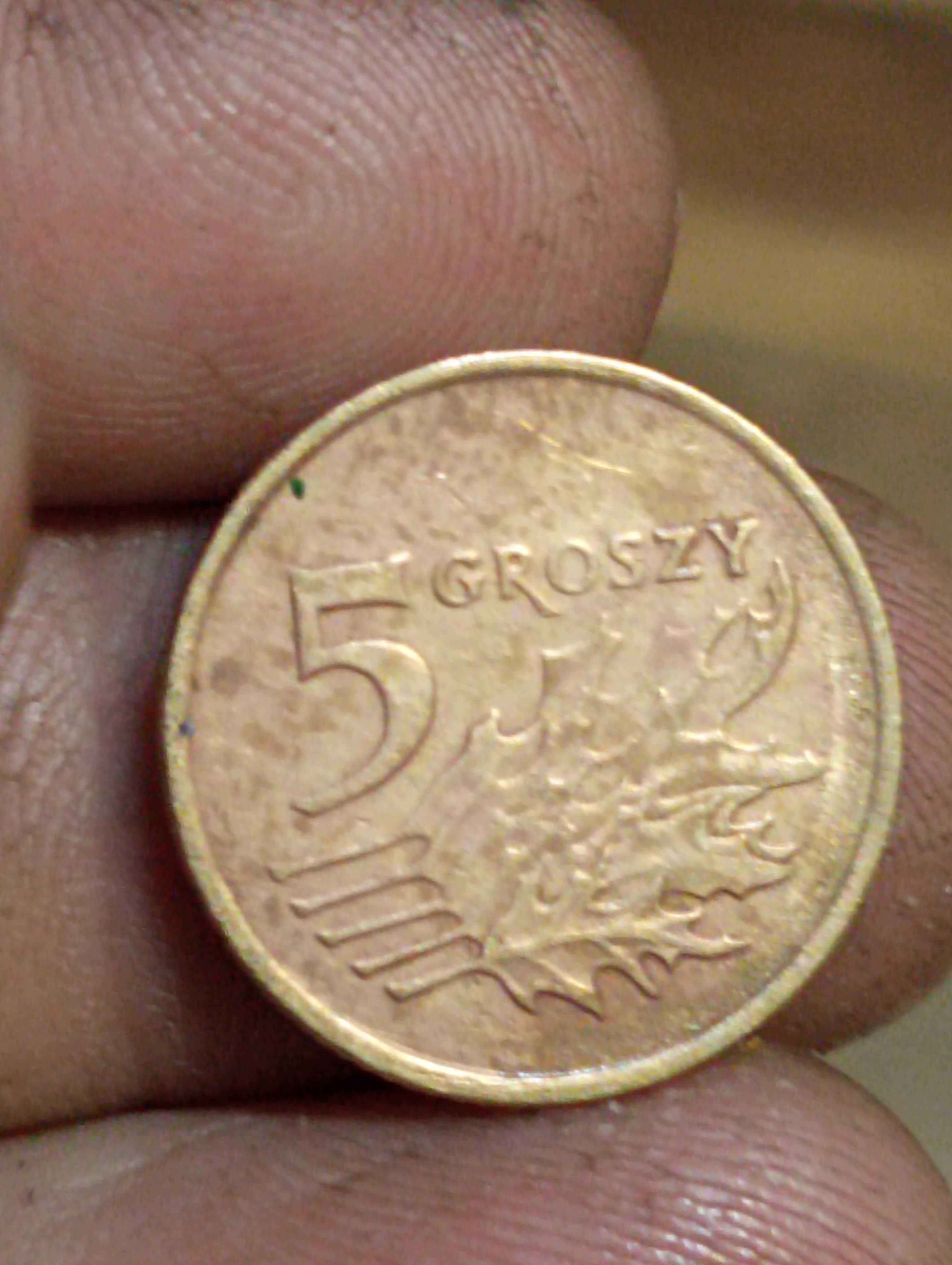 Moneta 5 groszy 1991 rok